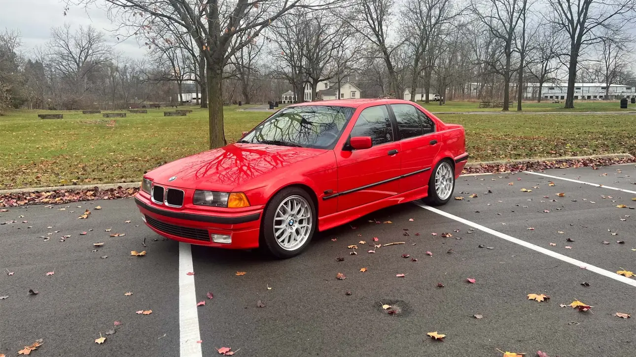 E36 live on cars and bids