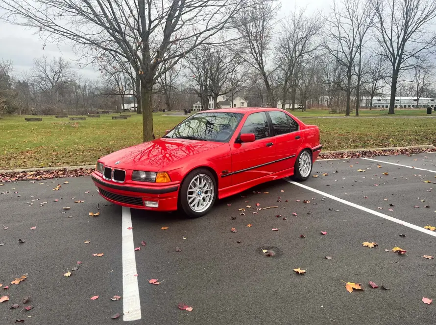 E36 live on cars and bids